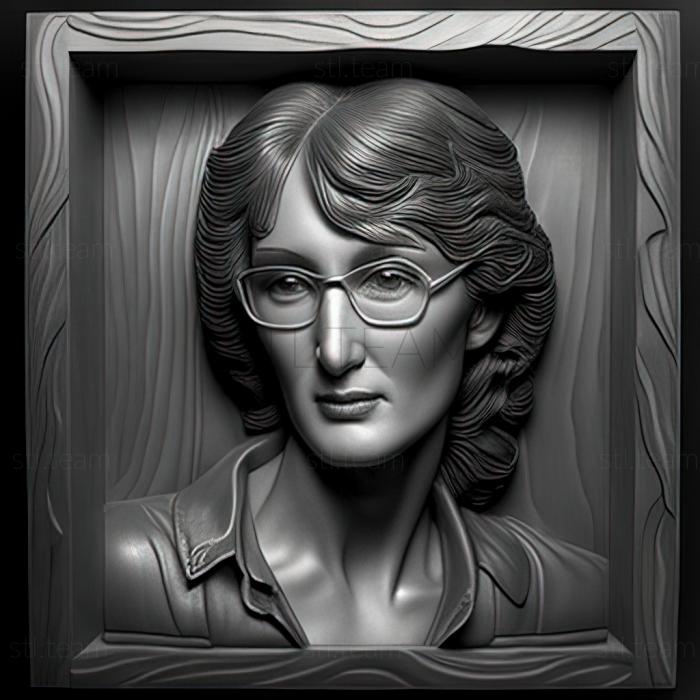 3D model Karen Silkwood Silkwood Meryl Streep (STL)